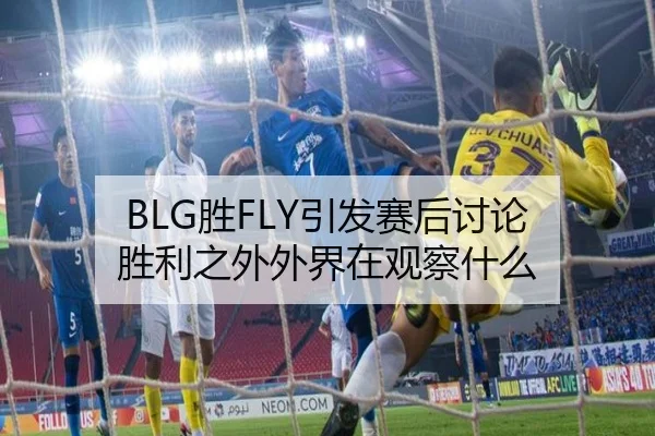 BLG胜FLY引发赛后讨论 胜利之外外界在观察什么